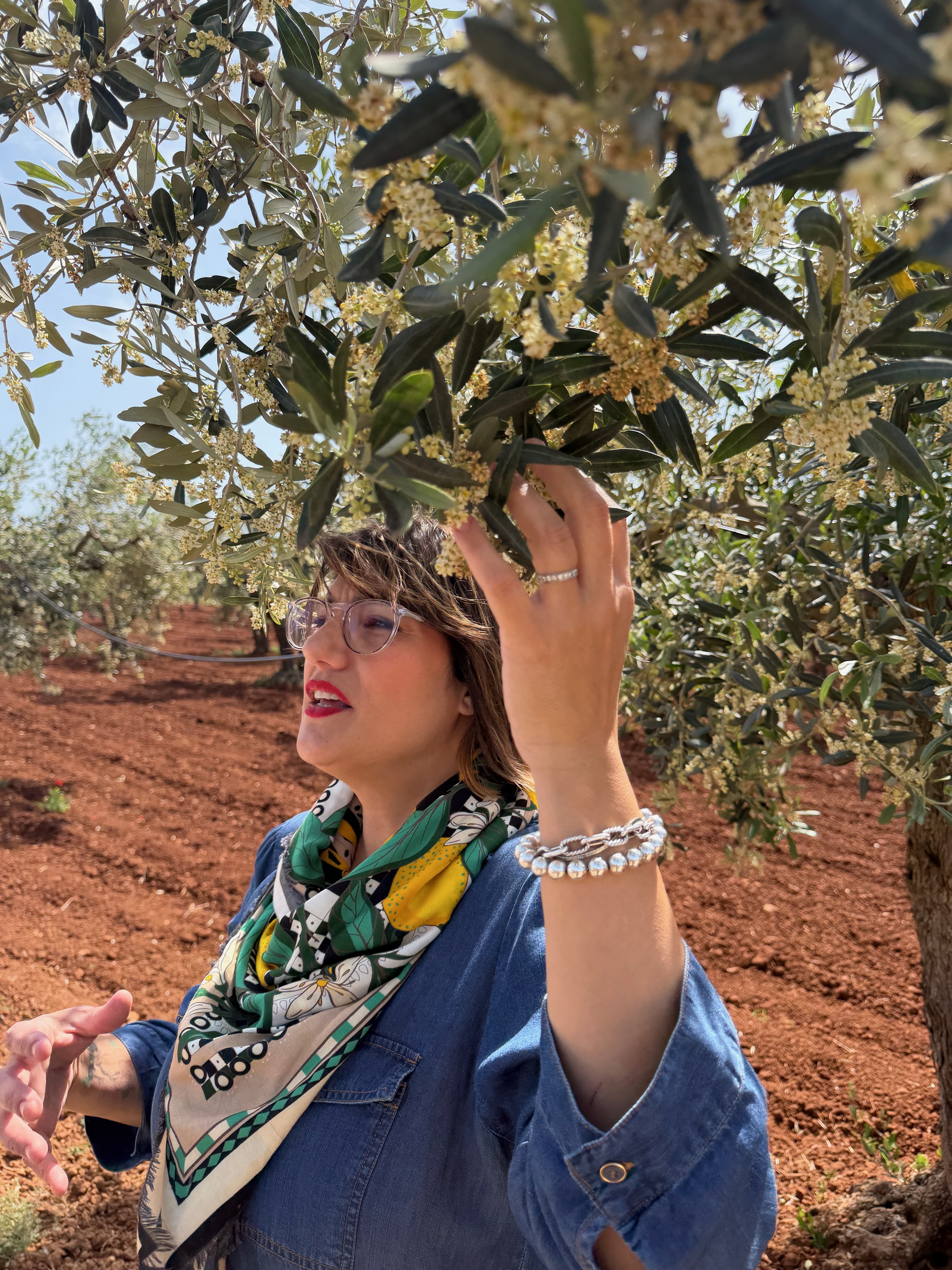 Josephine at the Sparacia olive grove, Partanna Sicily
