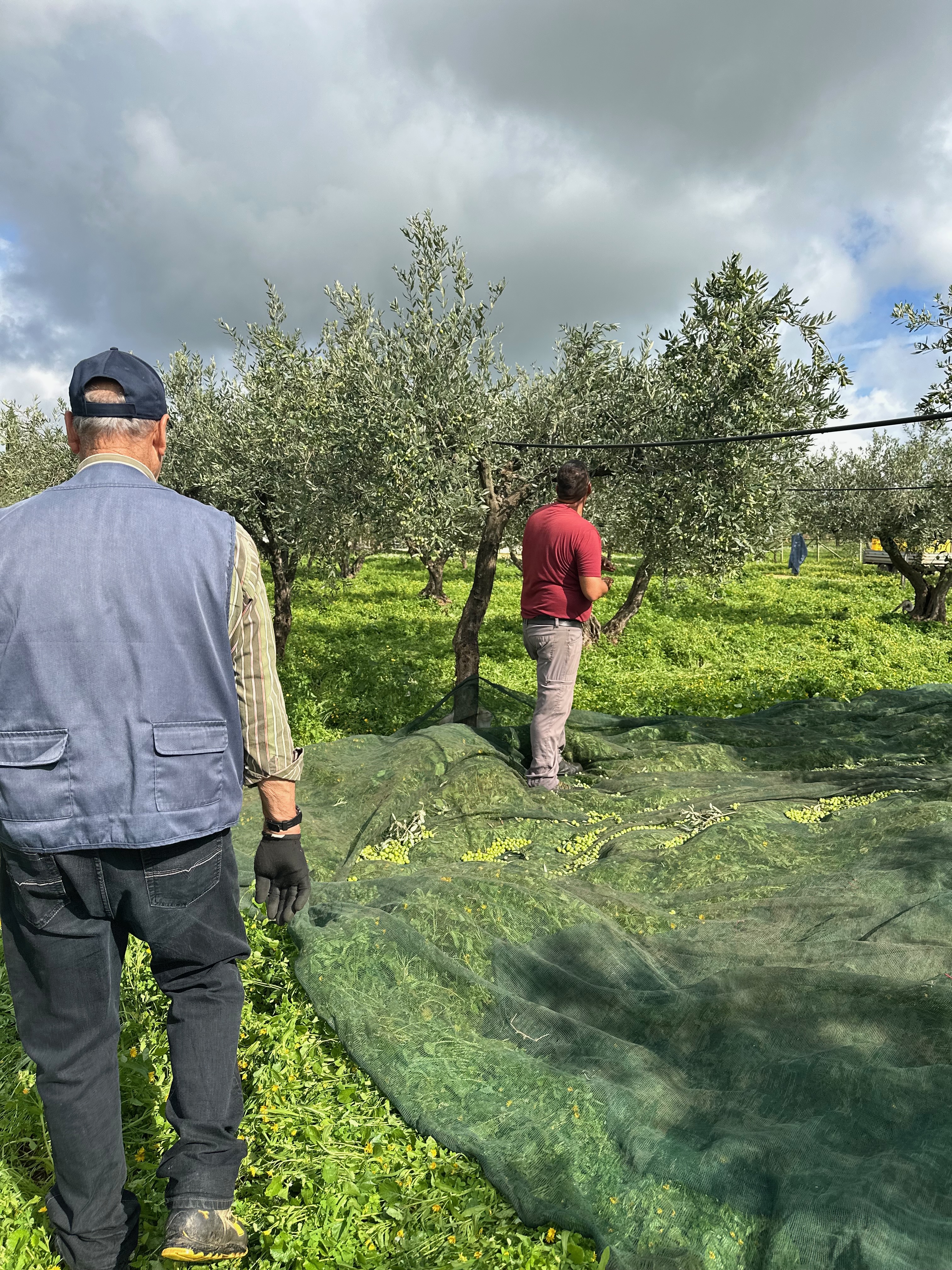 Sicilian barn in autumn