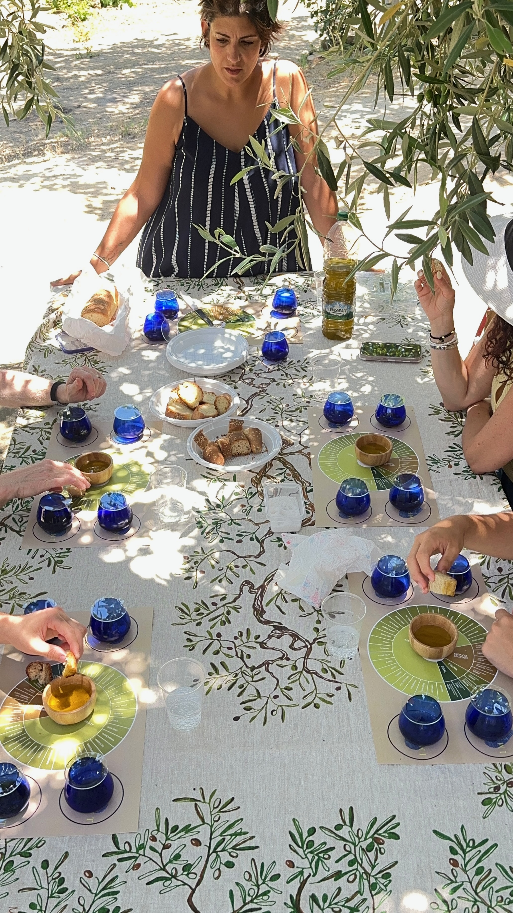 Olive oil tasting