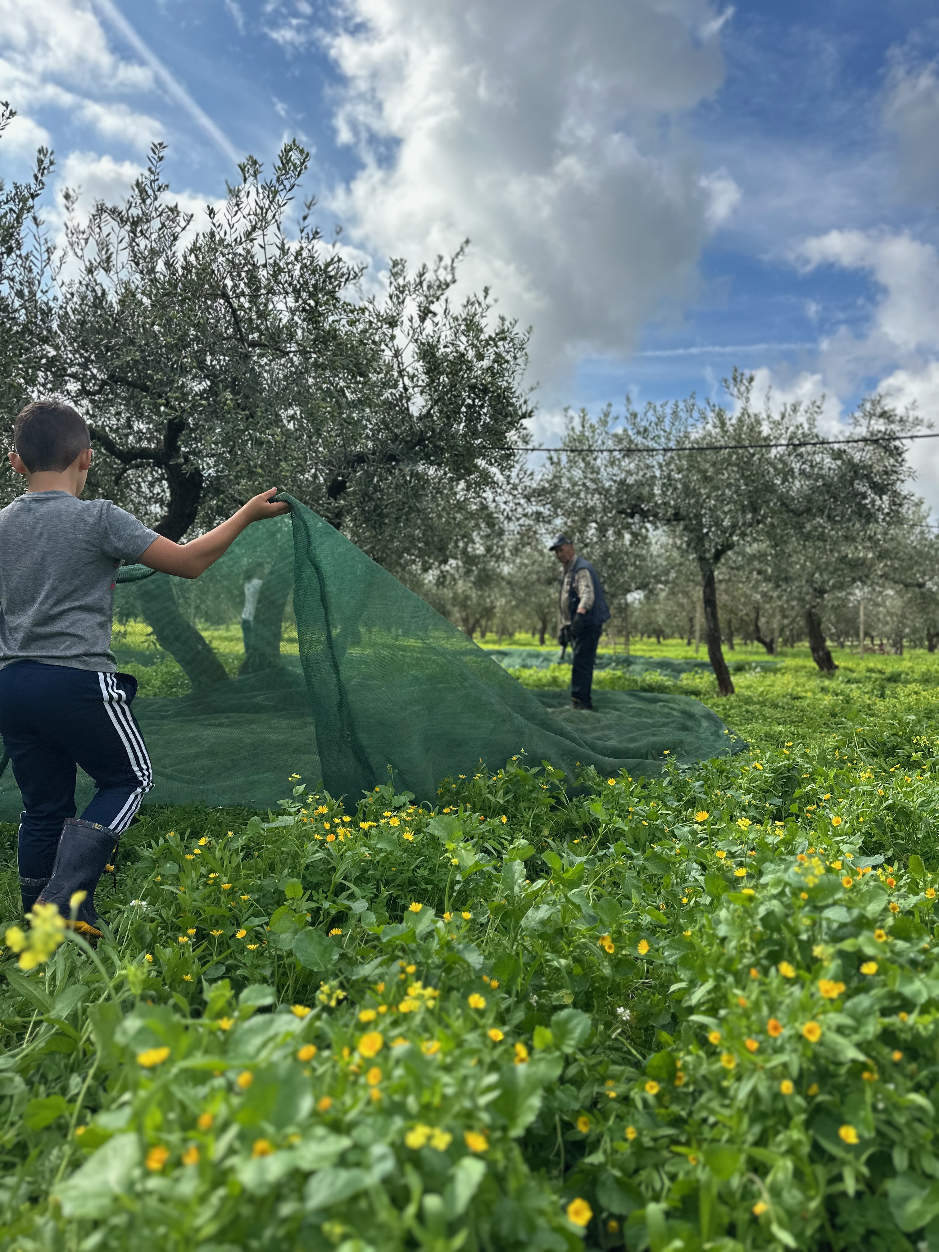 Autumn harvest at the Sicilian barn